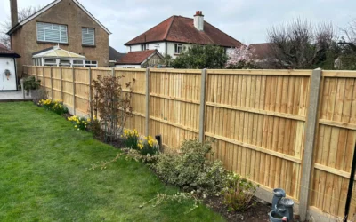 10 Garden Fence Maintenance Tips Every Homeowner Should Know
